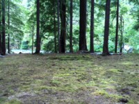 /album/fotogaleria/photo-7-jpg/